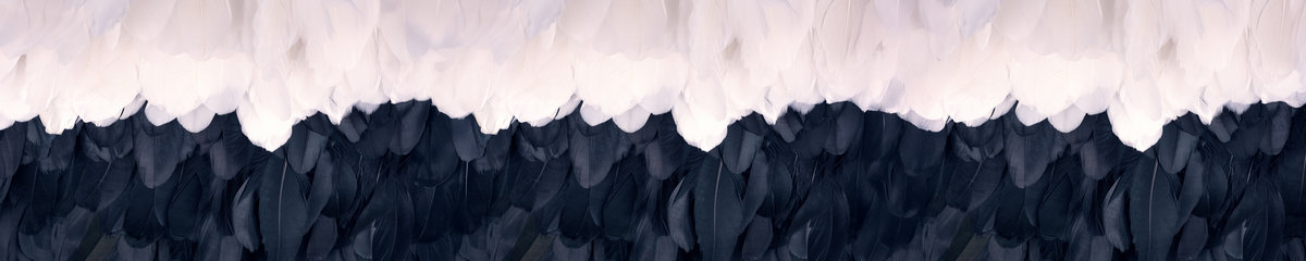 Virtuves panelis dizains SPJ 011